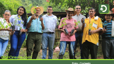 Photo of Reactivan BanCO2 el programa que le paga a los campesinos por cuidar los bosques