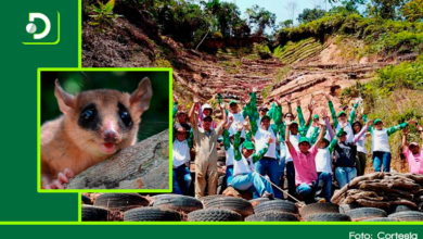 Photo of En Cocorná, la comunidad convirtió 43 hectáreas en un santuario de flora y fauna.