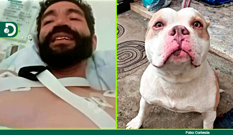 Accidente de obrero en El Santuario conmueve a la comunidad: piden ayuda para él y su perro Kronos